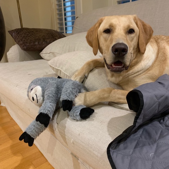 Meet your Posher, Erin - Picture 1 of 1